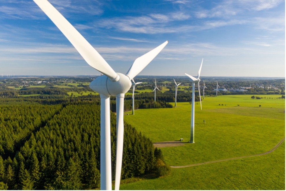 A group of windmills in a field