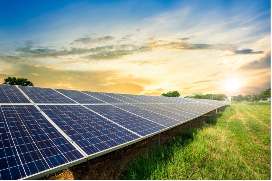 Solar panels in a field